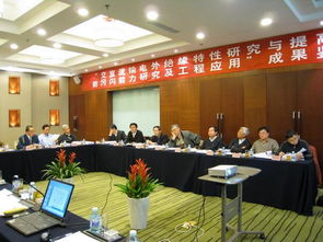 交直流輸電污穢外絕緣特性研究與防污閃技術提升工程應用項目技術鑒定會圓滿召開